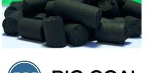 Bio Coal