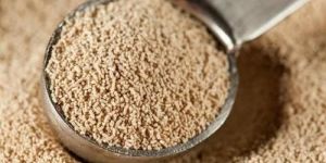 Baking Yeast