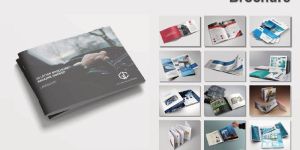 Brochure Printing Services