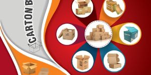 Carton Boxes