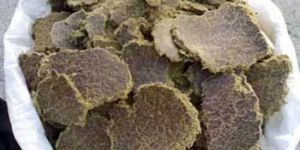 Cotton Seed Oil Cake