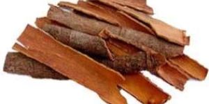 Cinnamon Bark