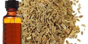 Celery Seed Oil