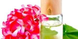 Geranium Oil