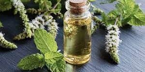 Peppermint Oil