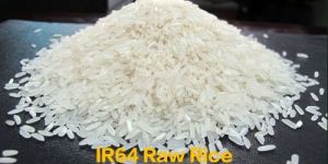 IR 64 Raw Rice