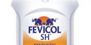 Fevicol