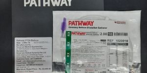PTCA Balloon(Pathway)
