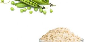 Pea Protein Powder