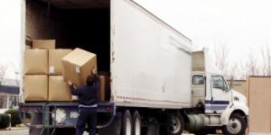 Transport Loading and Unloading Services