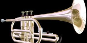 Trumpet