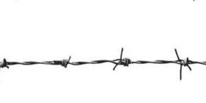 Barbed Wire