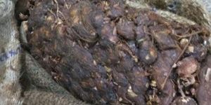 Tamarind Sack