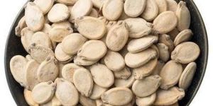 Watermelon Seeds