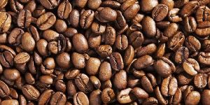 Arabica Coffee Beans
