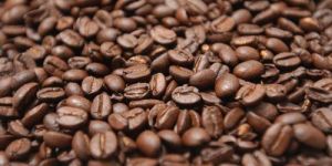 Robusta Coffee Beans