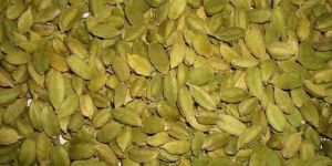 Chhoti Elaichi