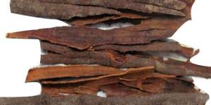 Dry Dalchini
