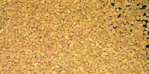 Methi Dana