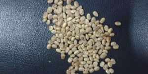 Chironji Seeds