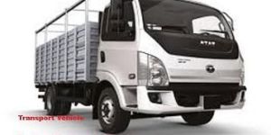 Local Shifting Services