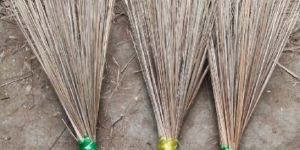 Coconut/palm broom