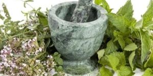 Medicinal Herbs
