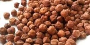 Brown Chickpeas Gram