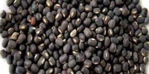 Organic Urad Seeds