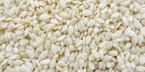 White Sesame Seeds