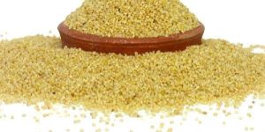 Foxtail Millet