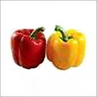Fresh Red Yellow Capsicum