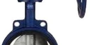 Disc Butterfly Valve
