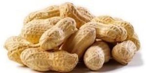 Shelled Groundnuts