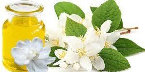 Jasmine Oil