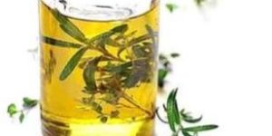 Kewra Oil