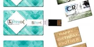 Promotional Customized Pen Drive