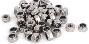 Stainless Steel Hex Nut