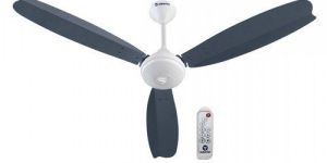 Ceiling Fans