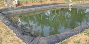 Sparrow Pond Liner 500 MICRON