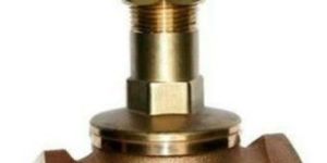 Gun Metal Globe Valve