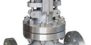 Industrial Globe Valve