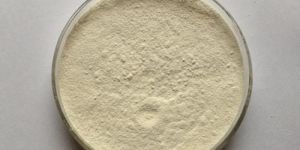 Tamarind Gum Powder