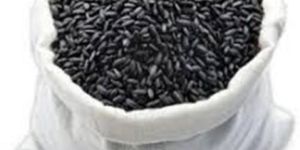 Black Rice Seeds