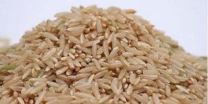 Brown Rice