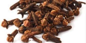 Cloves Seeds