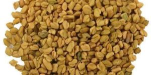 Fenugreek Seeds