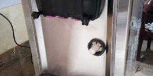 Softy Ice Cream Machine