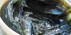 Wheel Bearing Grease