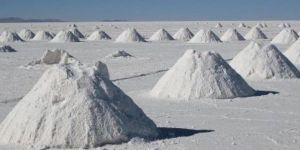 Organic Natural Rock White Salt Powder (Non Iodised)